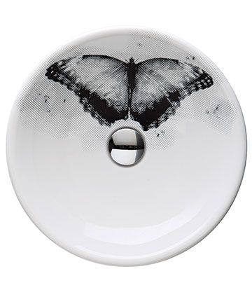 Terri Pecora projects Terri Pecora projects