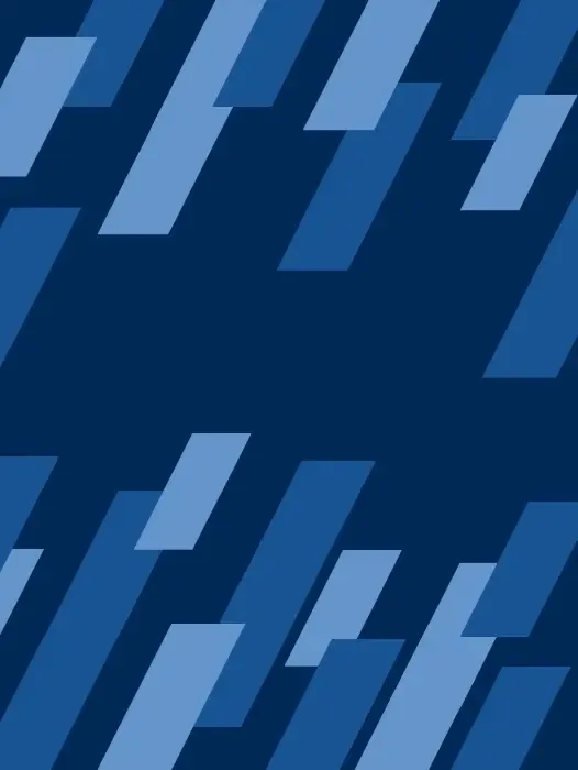 Domus Academy Design School