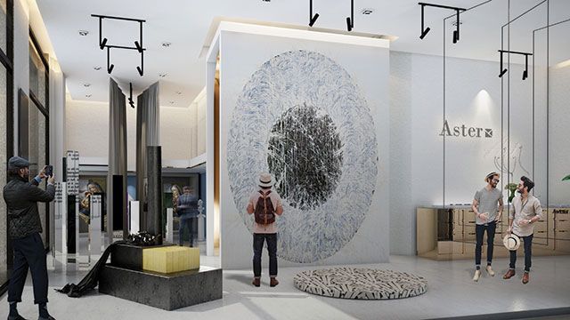 Aster for Art Project