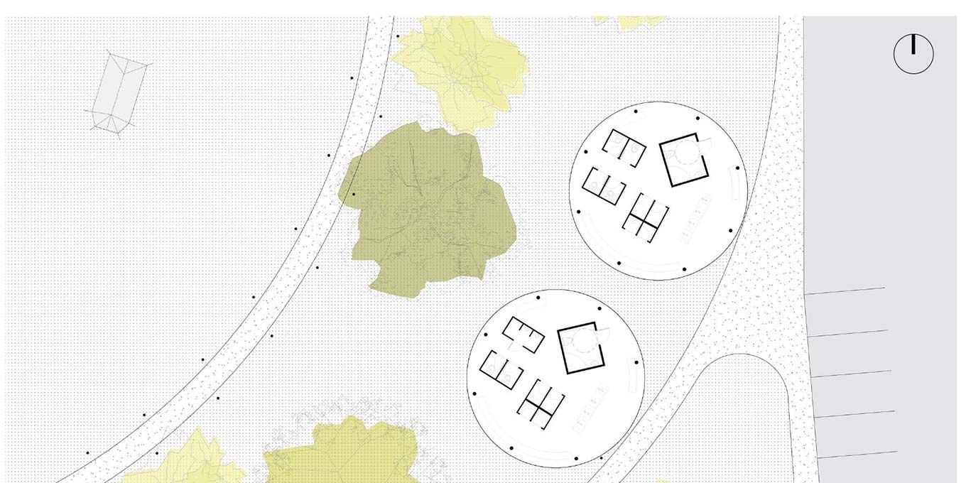 Gazing at the Stars Project