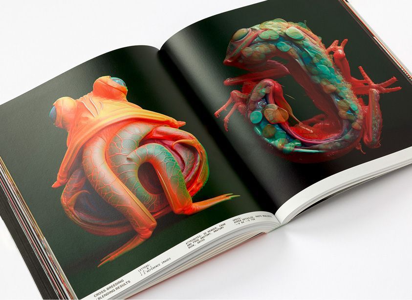 Aesthetics Imperfections