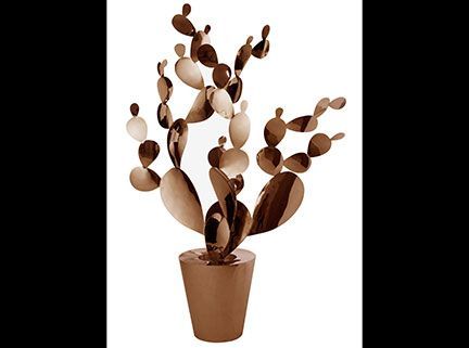 Opuntia-Copper-xl Opuntia-Copper-xl