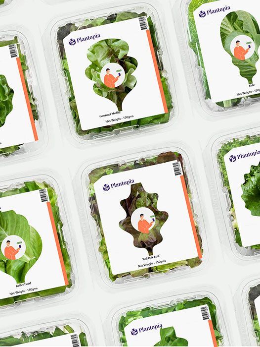 Semester in Business Design