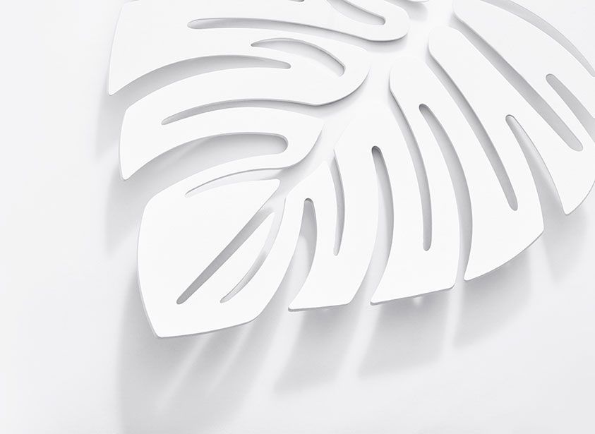 Sergio Vergara projetcs