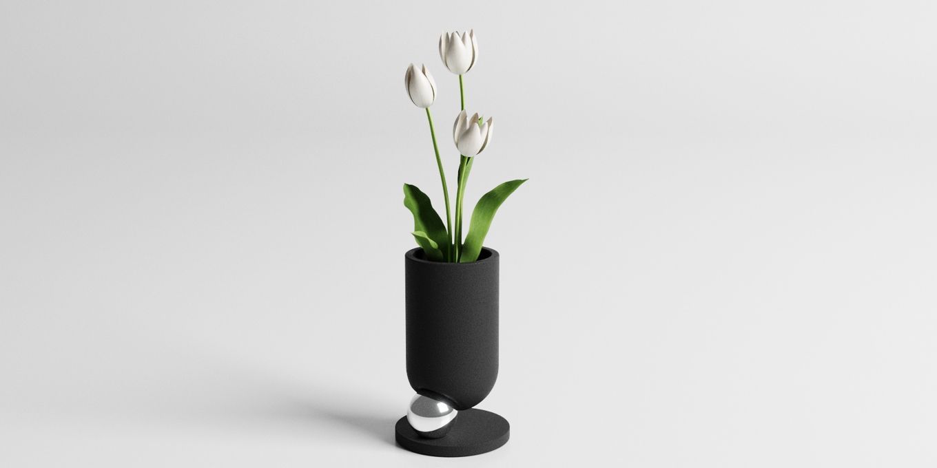 The Naughty Ball Collection