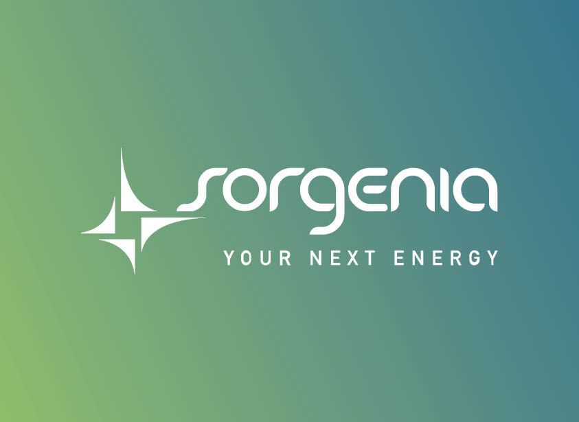 Workshop with Sorgenia