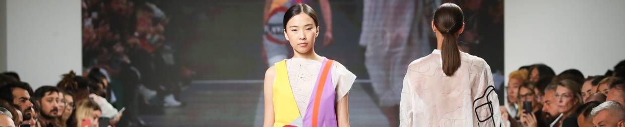 Diseñador de moda