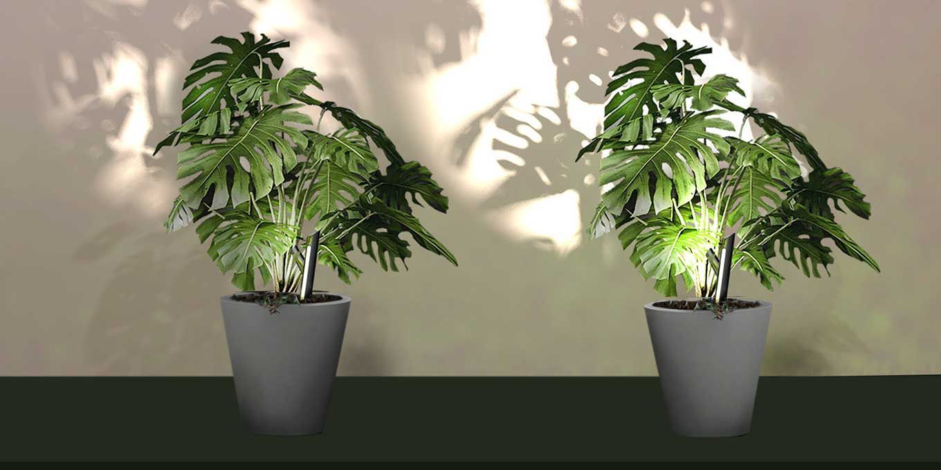 Light in Motion Project