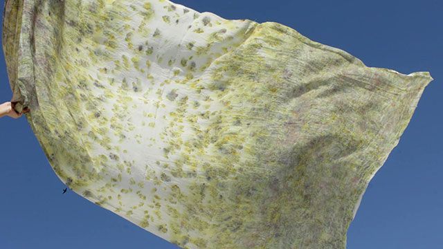 An athlete turned designer