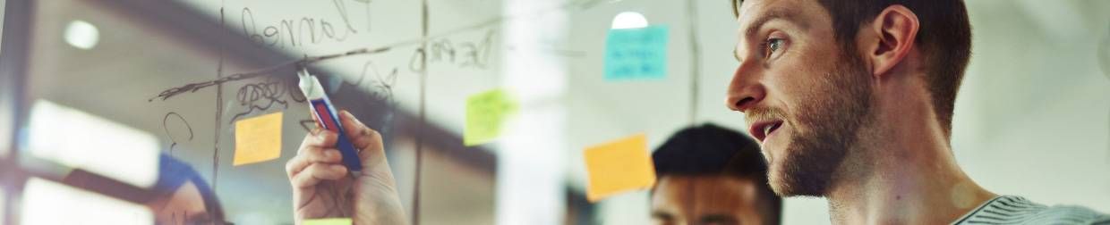 Professional Experience student stage