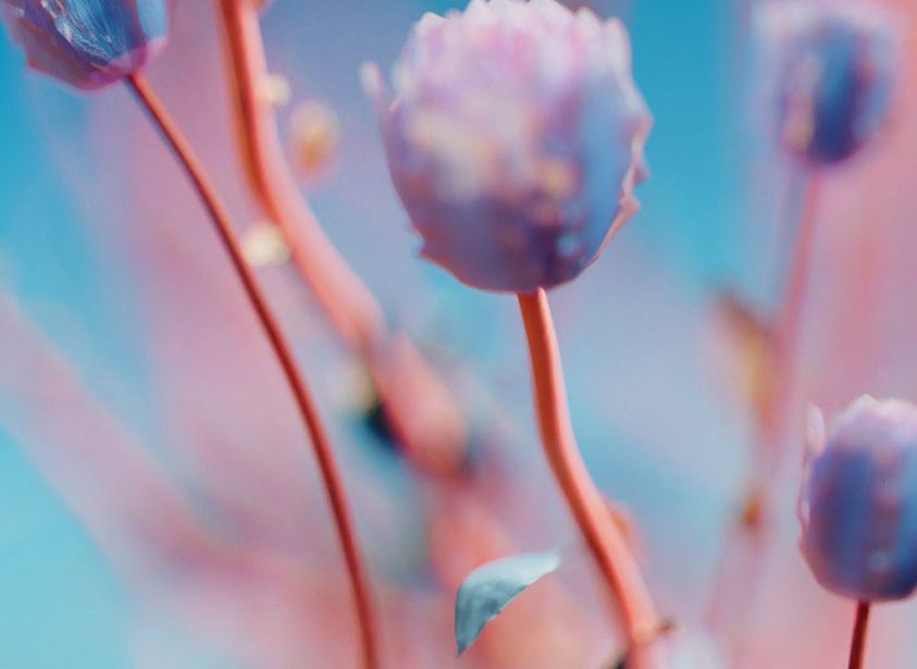 Fashion Graduate Fashion Graduate