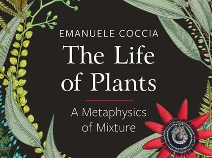 Emanuele Coccia Emanuele Coccia