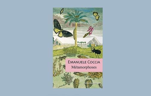 Emanuele Coccia Emanuele Coccia