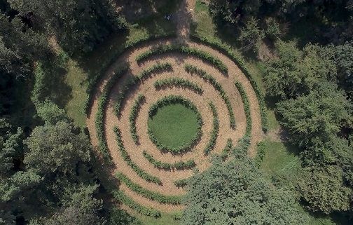 Fosbury Architecture