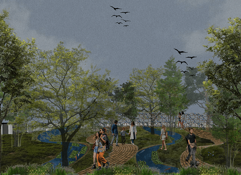 Early Bird Early Bird