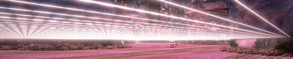 Liam young3 Liam Young