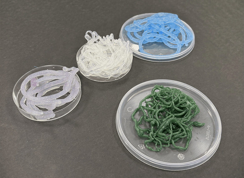 The Era of Biomaterials in Fashion 2026